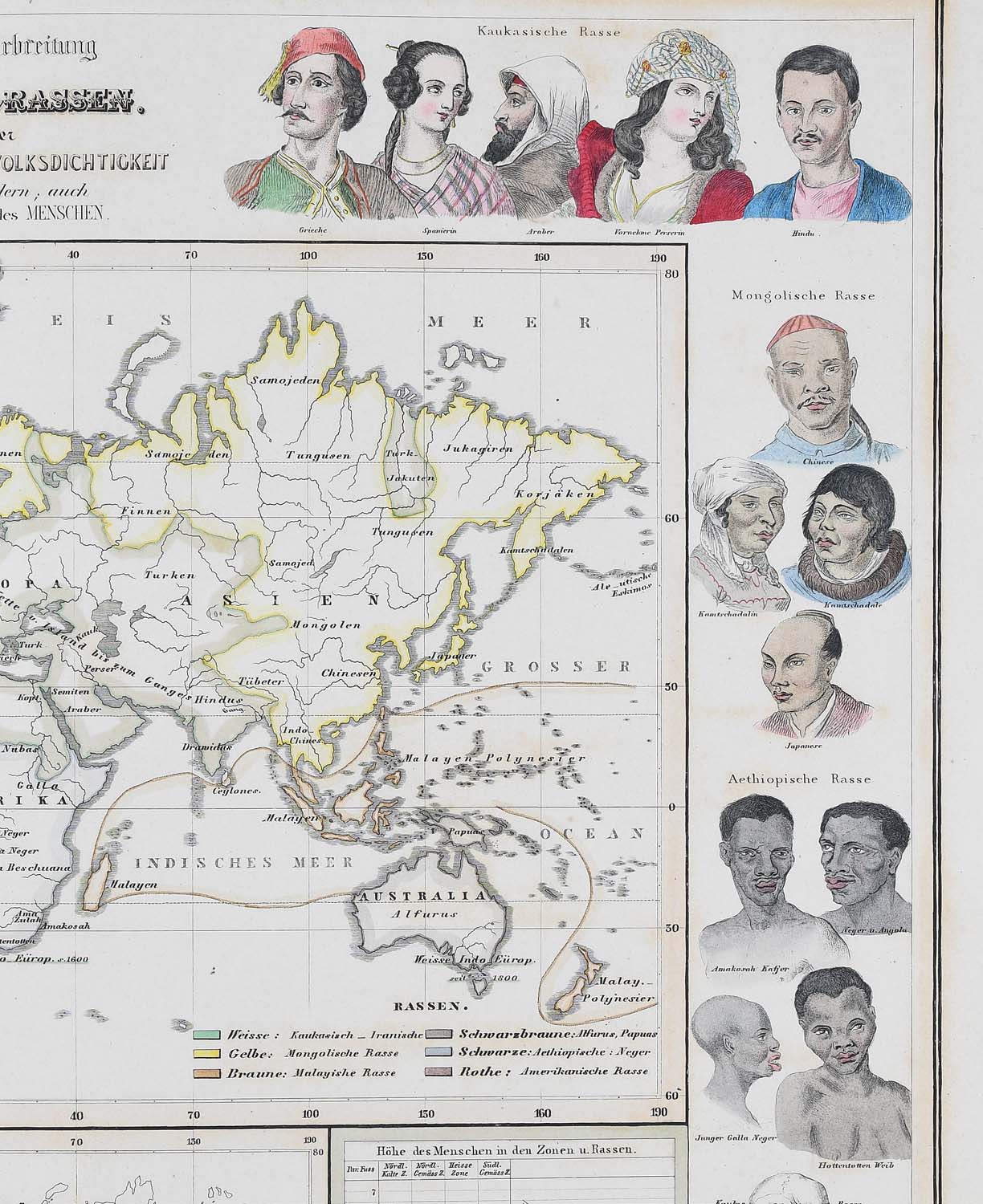Venerdì Cartografico – Heinrich Berghaus, Physikalischer Atlas, J. Perthes, Gotha – 1852