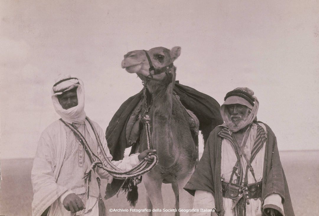Spedizioni Field in Arabia settentrionale (1927, 1928)